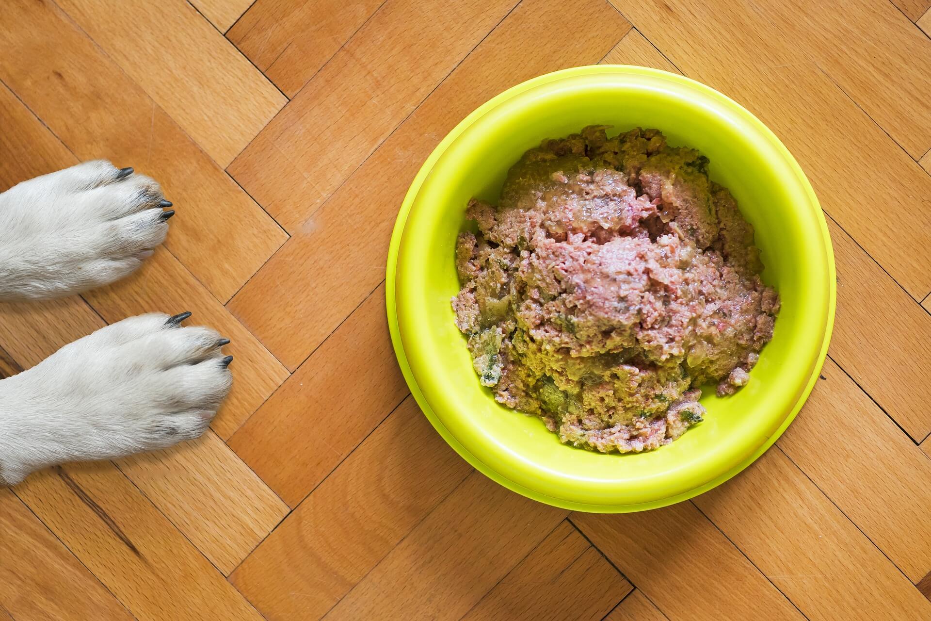 La dieta BARF per i nostri cani