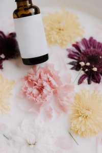 Scopri di più sull'articolo Quali sono i fiori che ti fanno connettere all’universo