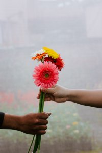 Scopri di più sull'articolo I fiori per essere felici in coppia